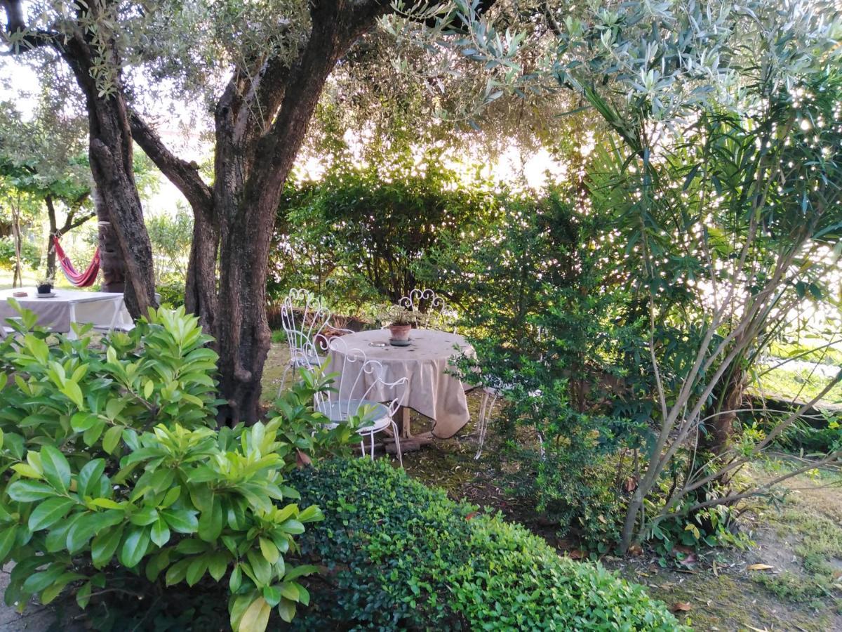 Casa Irene Bed and Breakfast Torri di Quartesolo Εξωτερικό φωτογραφία
